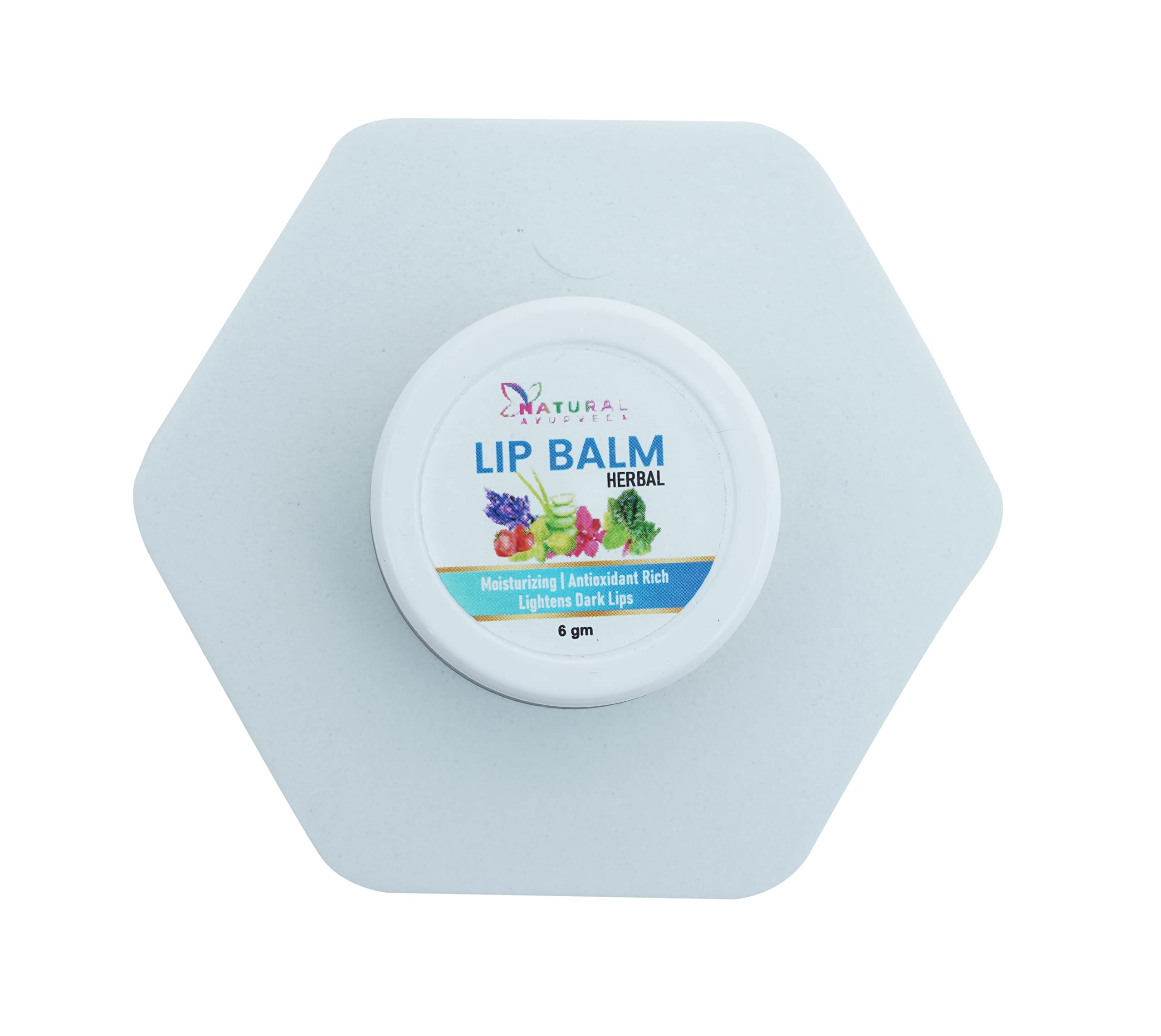 Organic Ayurvedic Lip Balm - Herbal & Natural Moisturizer for Dry, Chapped Lips - 0.21oz (6g) - Perfect for Winter Care, Daily Hydration & On-the-Go Use