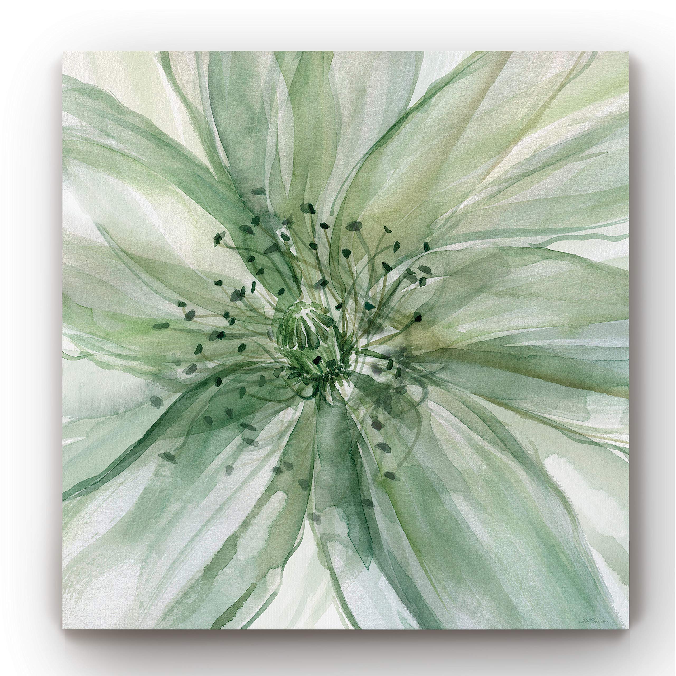 Green Macro Sage Flower Abstract Canvas Wall Art - 24
