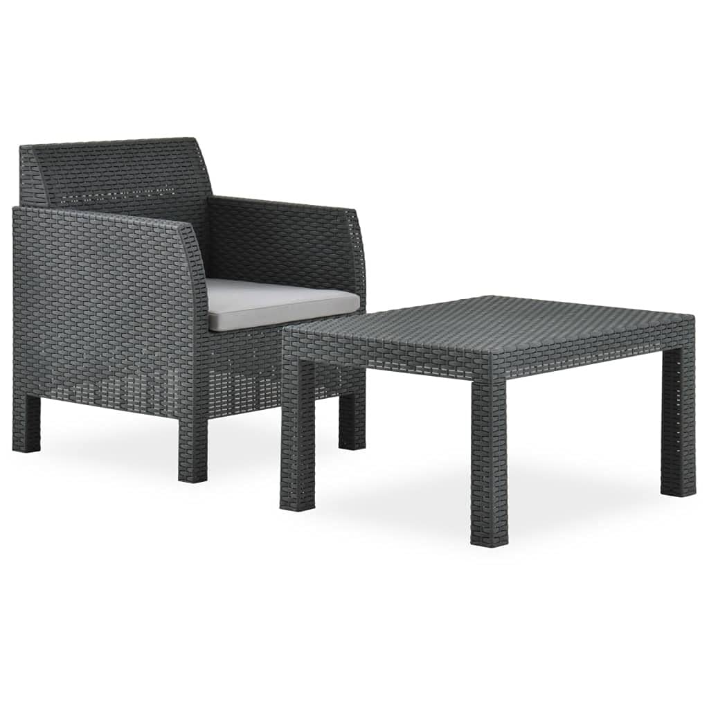 vidaXL 2-Piece Patio Lounge Set with Cushions, Outdoor Rattan Sofa Set for Courtyard, Balcony, Terrace & Backyard - Anthracite PP Wicker Furniture for Relaxing & Entertaining