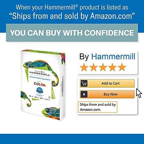 Hammermill Premium 80 lb Cardstock, 11 x 17 Inches - 4 Pack (1,000 Sheets) | 100 Bright White Card Stock for Printing, Crafts & Scrapbooking | Made in USA | 120037C