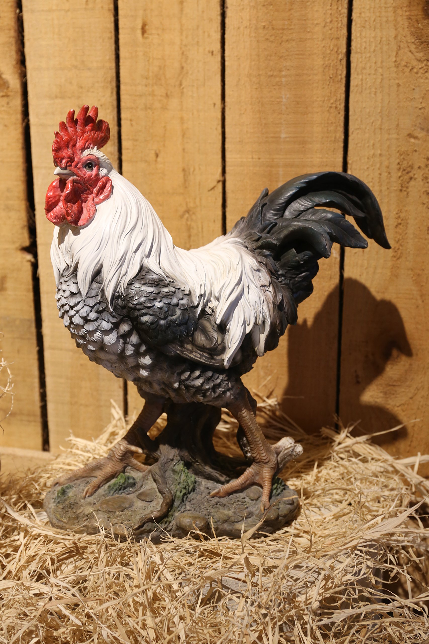Hi-Line Gift 87961-WT Black and White Rooster Statue - Farmhouse Decor, Kitchen Countertop, or Garden Accent Piece