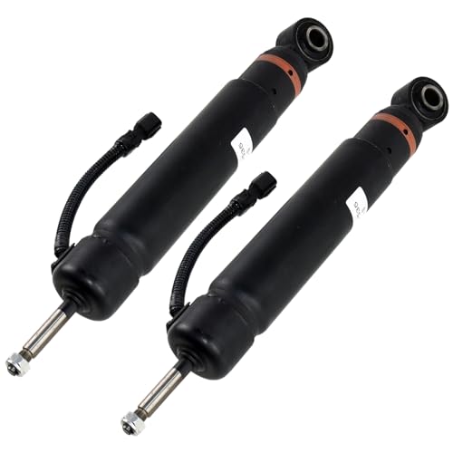 GX460 Rear Struts