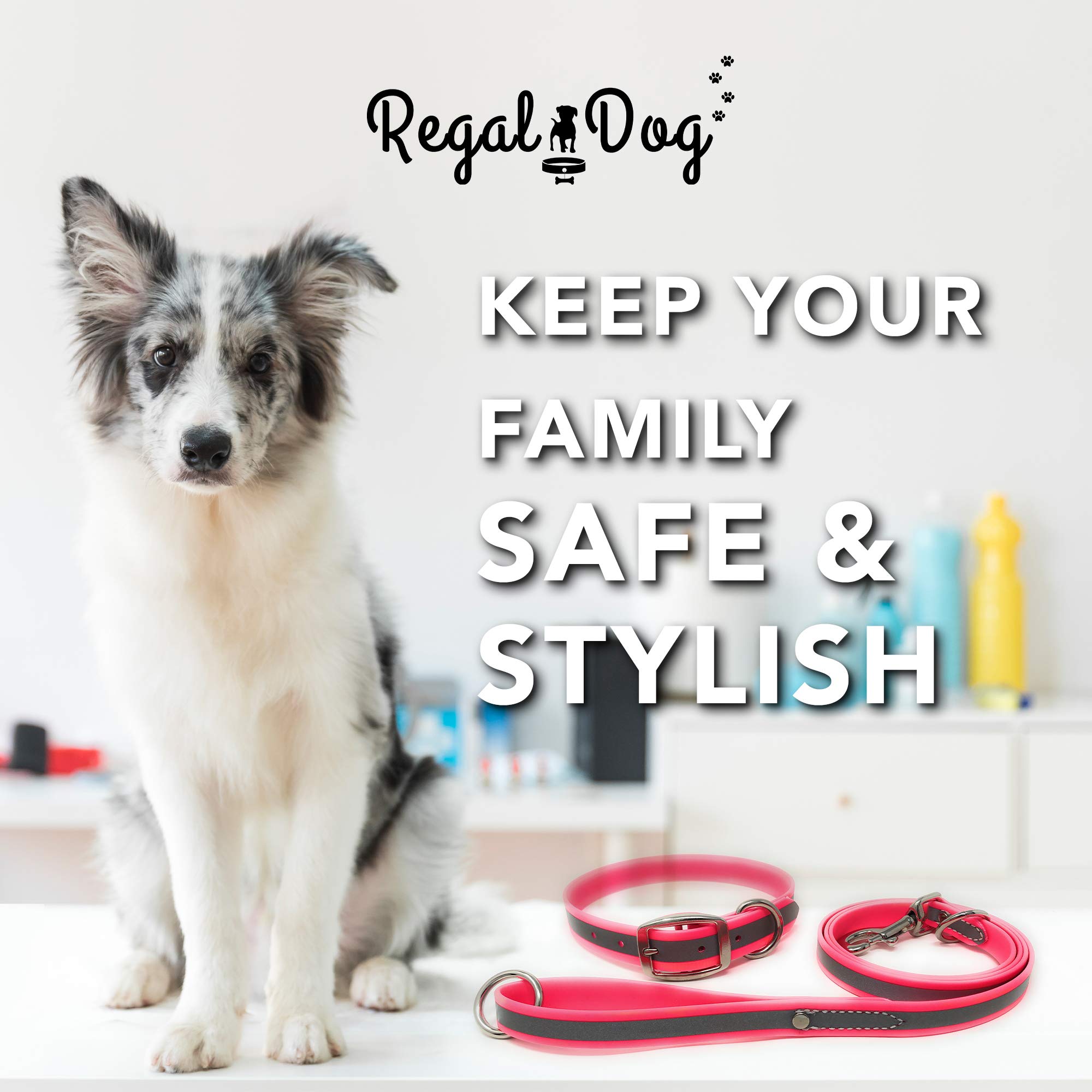Regal Dog Products Medium Pink Reflective Dog Collar and Leash Set - Waterproof Biothane Dog Collar with Heavy Duty Double Buckle, D Ring & 5ft Leash - Perfect for Medium & Large Dogs - Ideal for Night Walks, Outdoor Adventures and Training Sessions