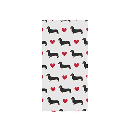 Dachshund Dog