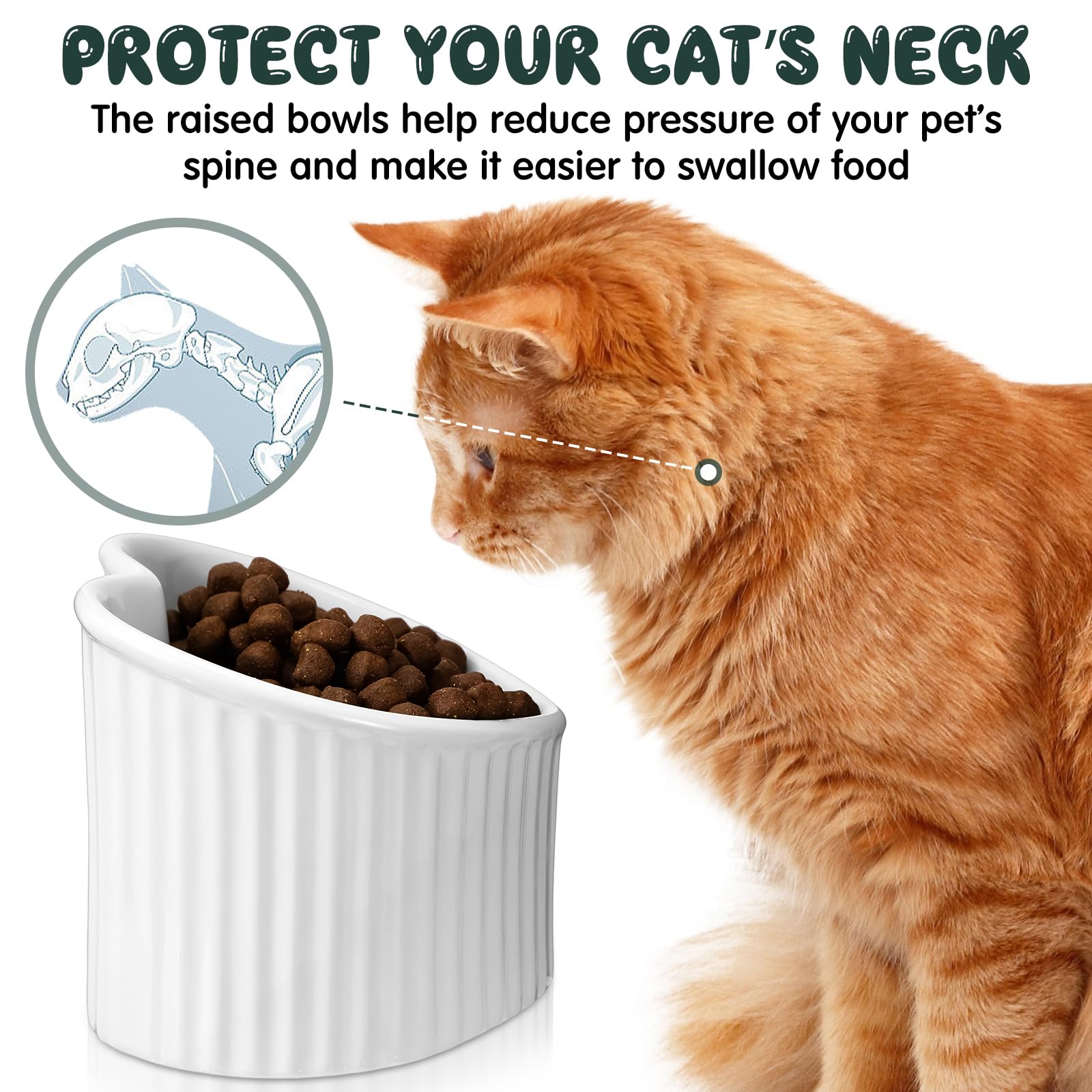Dandat 4-Piece Ceramic Elevated Cat Bowls - Raised Shallow Pet Food & Water Dishes for Kittens - Helps Reduce Digestion Issues & Vomiting - Stress-Free Feeding for Indoor Cats - Perfect for Small Spaces & Sensitive Stomachs