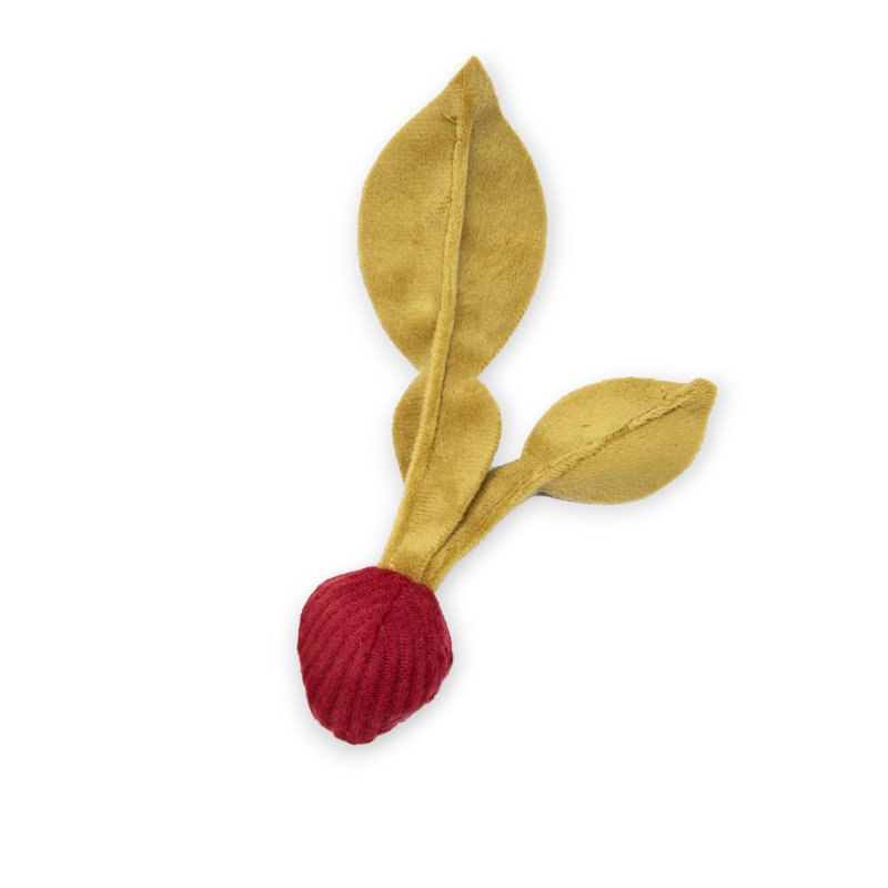 Fresh Organic Radishes - Crisp, Nutritious & Delicious Root Vegetables for Salads, Snacking & Healthy Eating | Perfect for Home Cooking, Juicing & Vegan Recipes