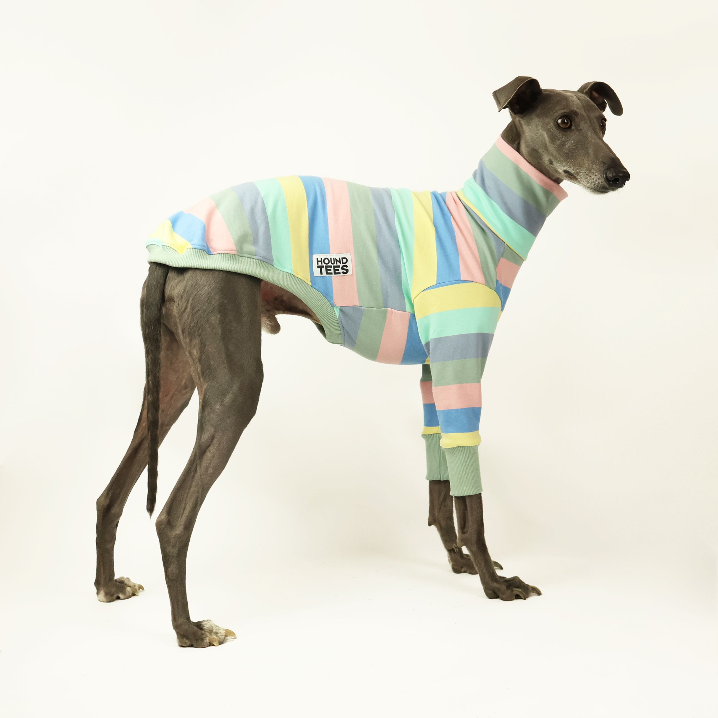 Blueberry Cheesecake Whippet Print Long Sleeve Sweater - Cozy Fall Fashion for Dog Lovers & Casual Outings
