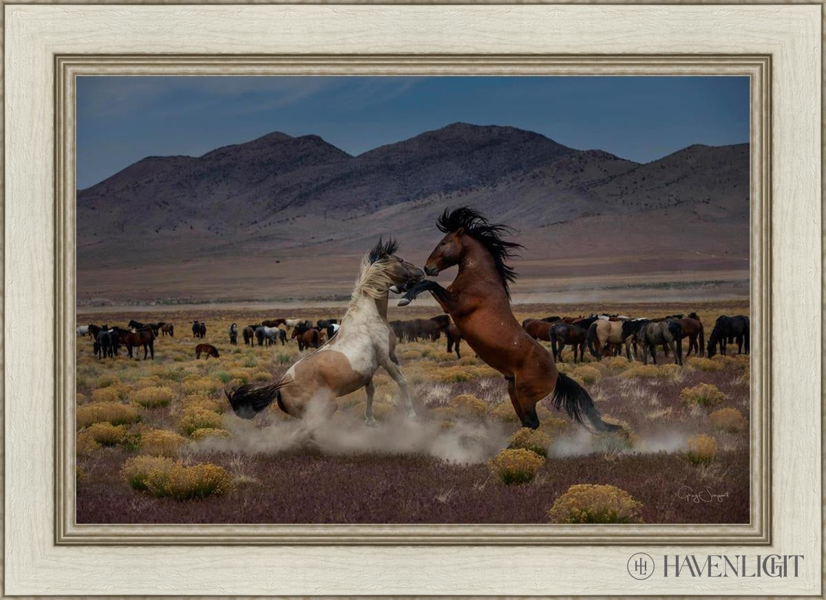 Desert Duel 5 by Greg Sargent - Western Action Novel - Perfect for Book Clubs & Cowboy Adventure Fans