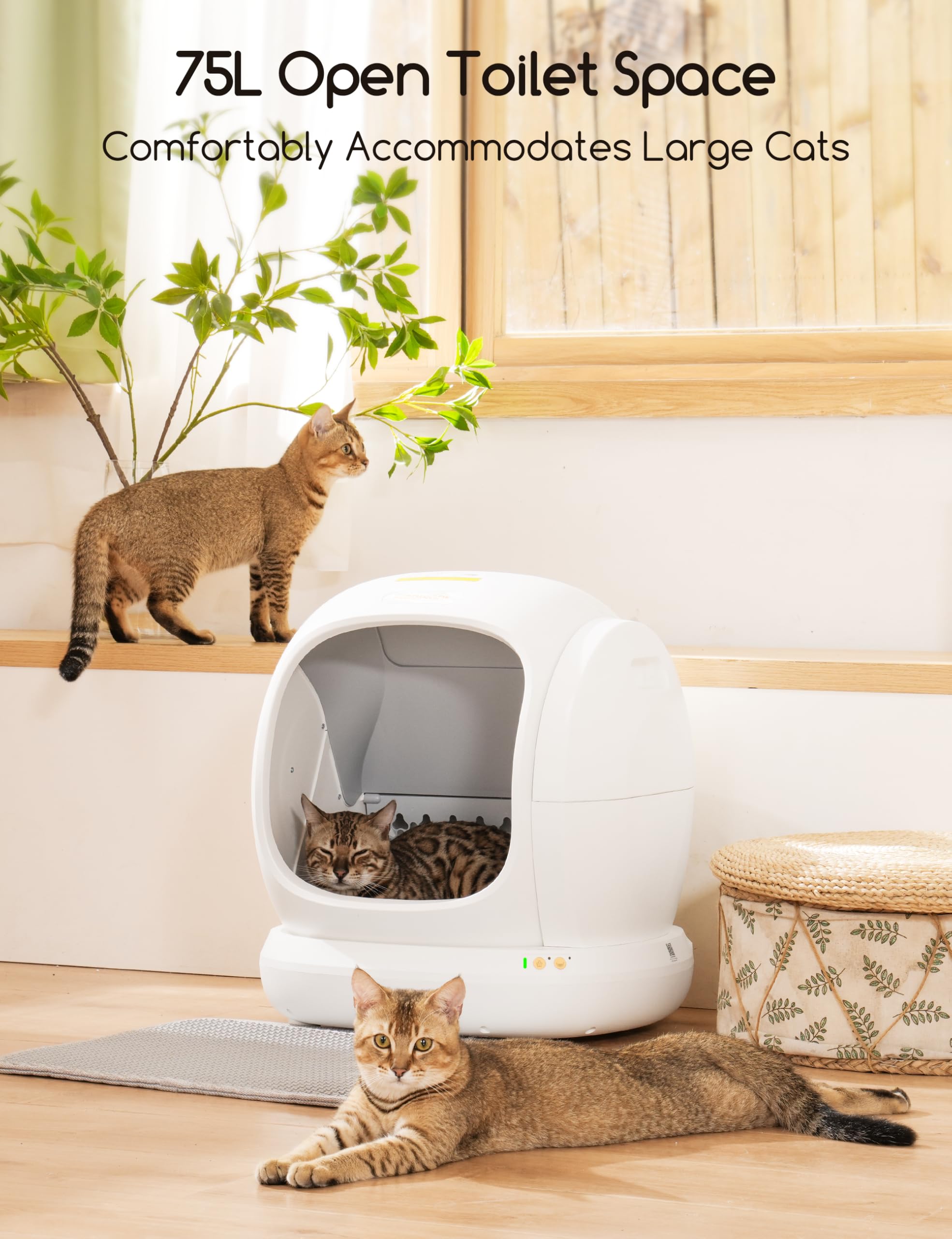 MeoWant Self-Cleaning Cat Litter Box - 75L Extra Large Automatic Litter Box for Multiple Cats with Safety Protection, APP Control & Odor Elimination | Smart Litter Box with Mat & Liner for Home Use | Perfect for Busy Pet Owners & Multi-Cat Households