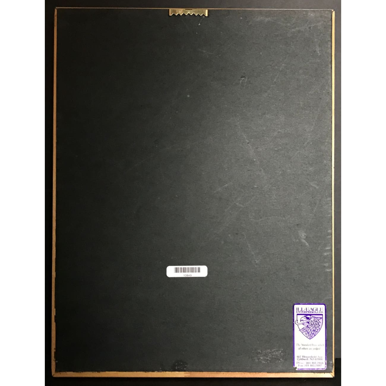 Annie Lennox Medusa RIAA Platinum Album Award - Certified Music Collectible for Fans & Display