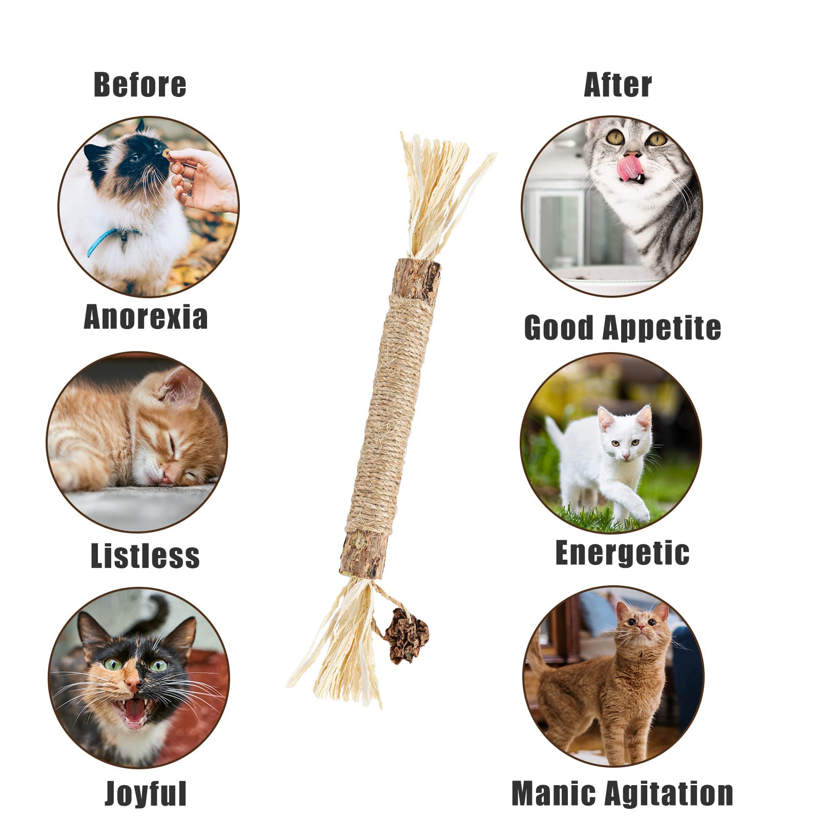 3pcs Natural Silvervine Sticks for Cats - Catnip Chew Toys, Kitten Teething & Teeth Cleaning - Perfect for Playtime and Dental Health