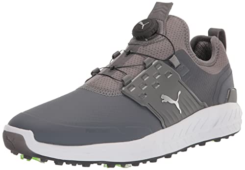Quiet Shade/Puma Silver/Quiet Shade