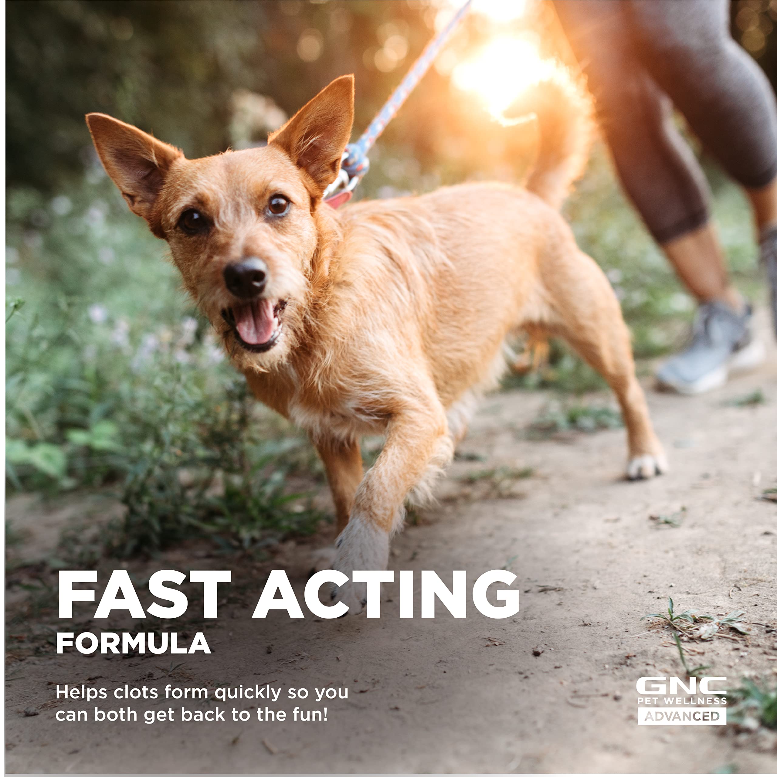 GNC Pets Advanced Styptic Powder for Dogs - 0.5 oz | Fast-Acting Dog Nail Bleeding Control | Safe & Effective Styptic Powder for Nail Trimming Accidents | Perfect for Grooming, First Aid & Pet Care at Home