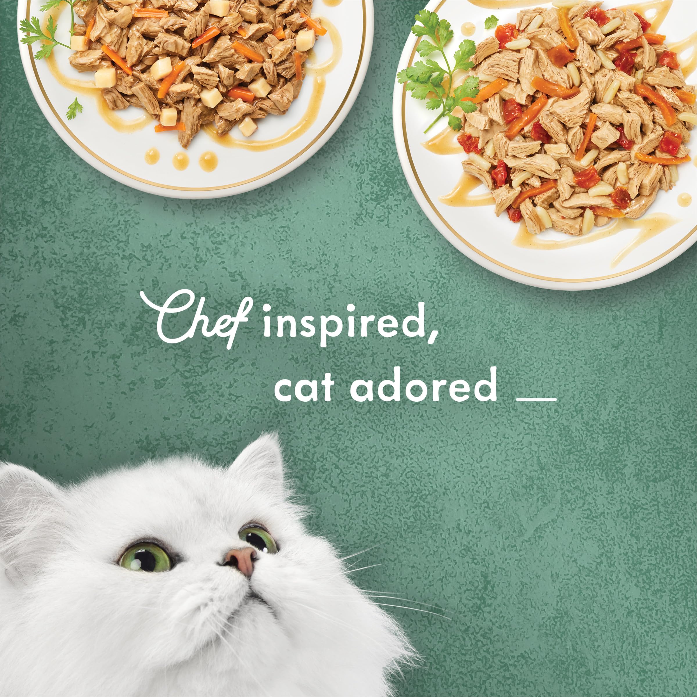 Purina Fancy Feast Medleys Latin America Wet Cat Food Variety Pack - 12 Cans (Pack of 2) | Grain-Free Gourmet Cat Food for Adult Cats | Perfect for Picky Eaters & Special Occasions