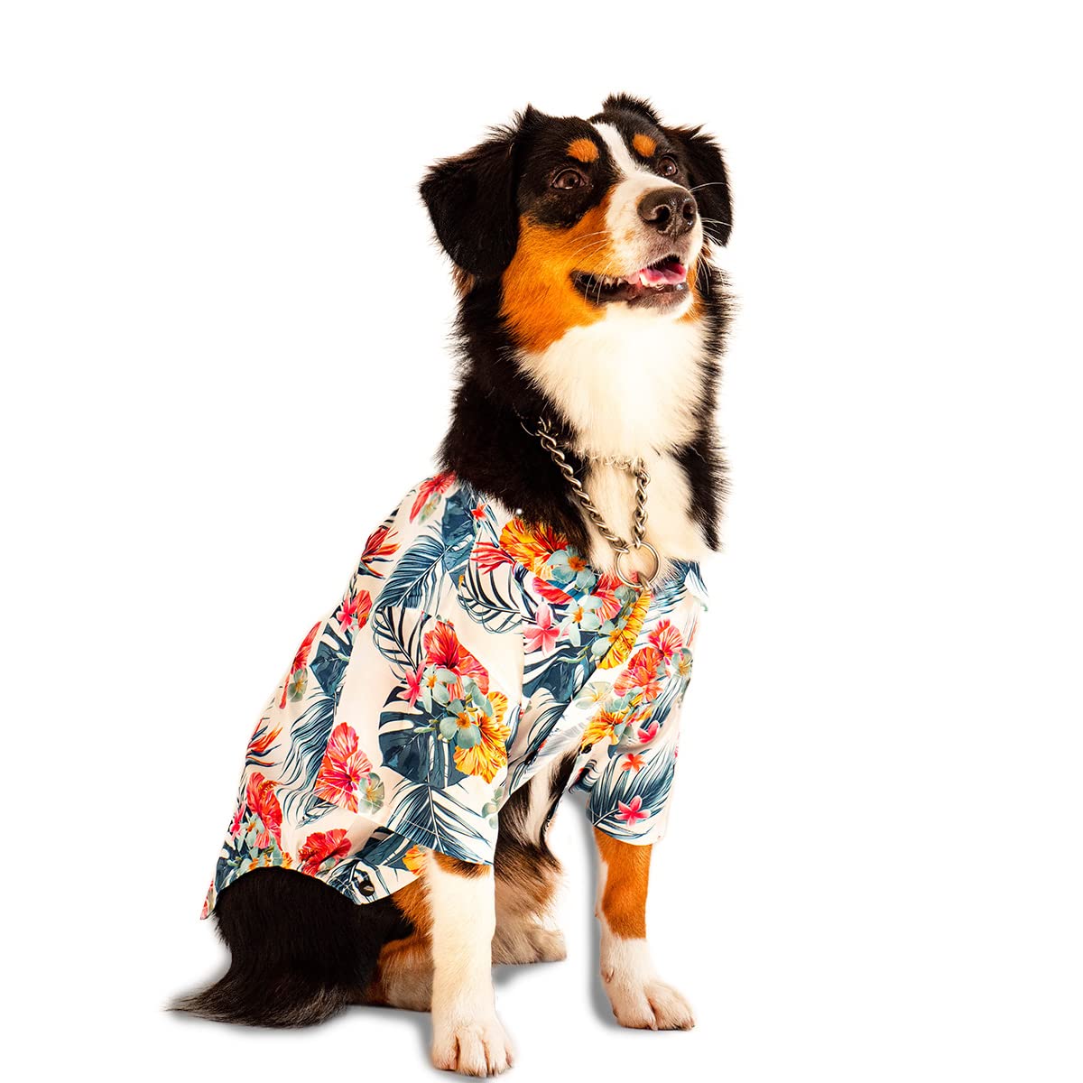 Hawaiian Dog Shirt for Small Medium Large Dogs - Breathable Pet Dog Clothes & Apparel - Cute Pup Shirt for Summer Outings (Medium, Black) - Perfect for Beach Walks, Park Visits & Photo Shoots