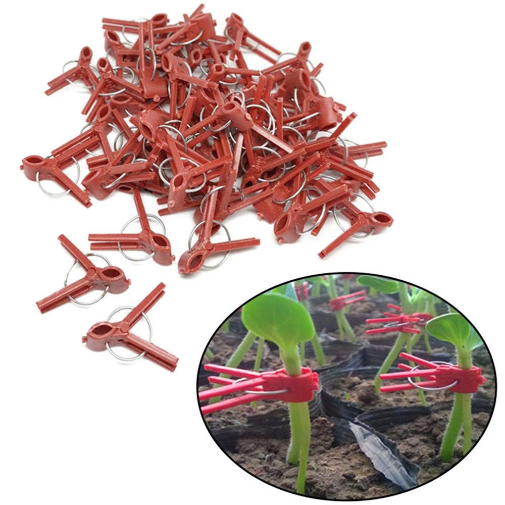 100PCS Plastic Round Mouth Grafting Clips for Plants - Gardening Tool for Cucumber, Eggplant, Tomato, Watermelon - Ideal for Home Garden, Greenhouse & Plant Propagation