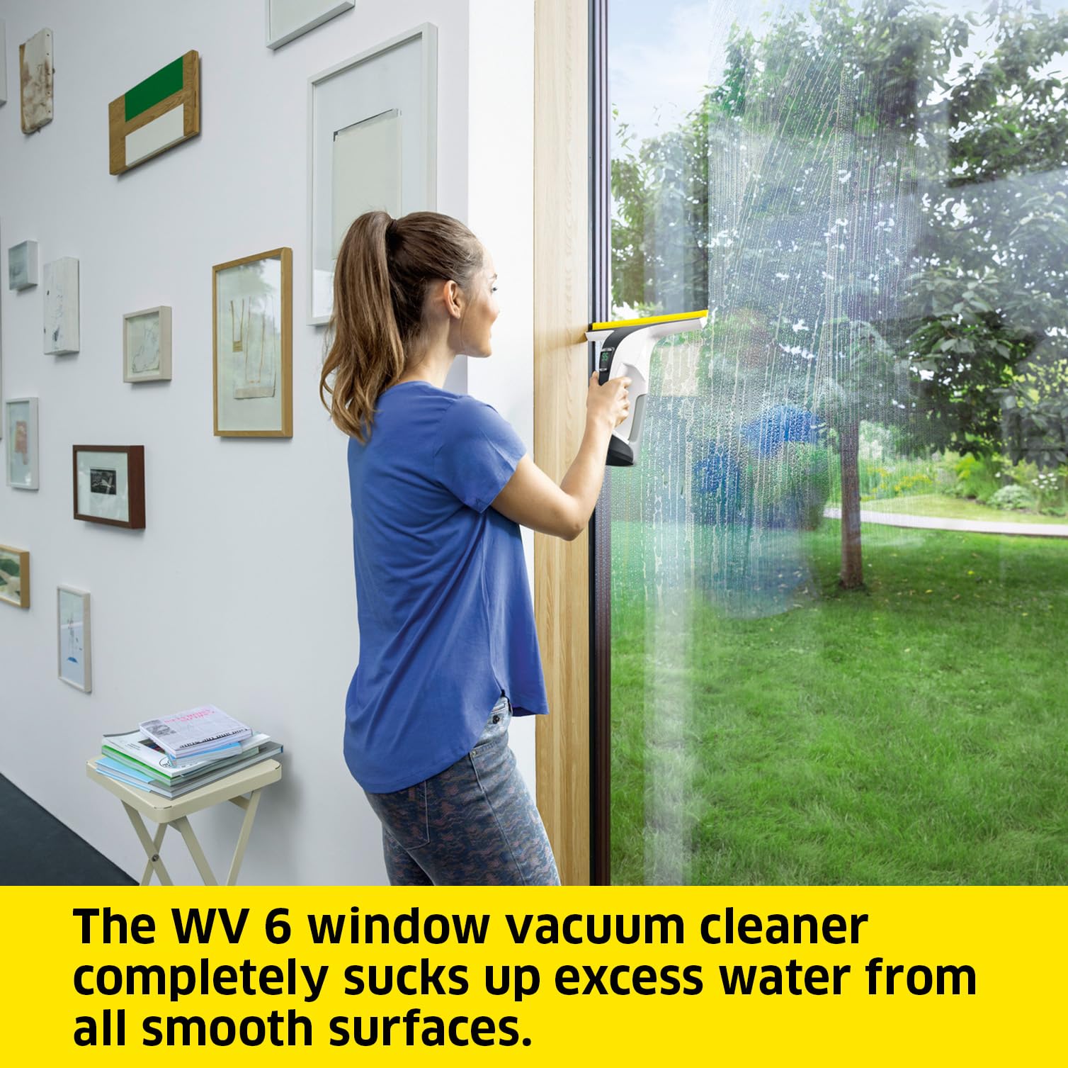 Kärcher WV 6 Electric Window Vacuum Squeegee 11