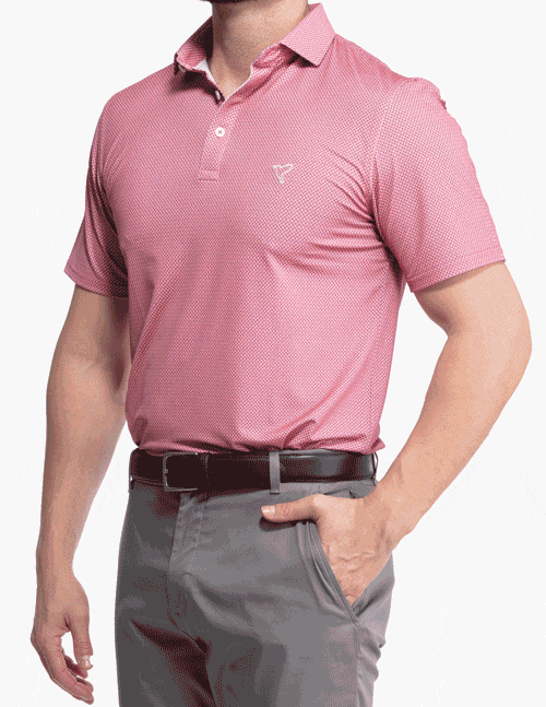 Birddogs Steve Aioli Polo Shirt for Men - Breathable Quick-Dry Performance Golf & Casual Wear - Perfect for Golf, Tennis, and Summer Outdoor Activities