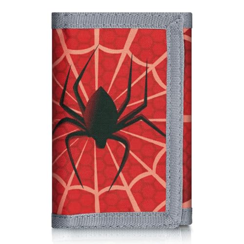 Spider 1