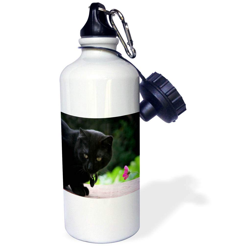 3D Rose Black Cat with Flower Design 21 oz Sports Water Bottle - Insulated Stainless Steel Water Bottle for Gym, Hiking & Outdoor Activities - BPA Free White Water Bottle