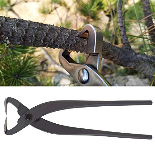 Premium Garden Hand Pruning Shears - Jadpes 210mm High-Carbon Steel Bonsai Branch Cutter for Home Gardening, Tree Trimming & Bonsai Modeling | Ideal for Beginners & Professionals | Perfect for Shaping Plants, Pruning Branches & Creating Beautiful Bonsai Designs