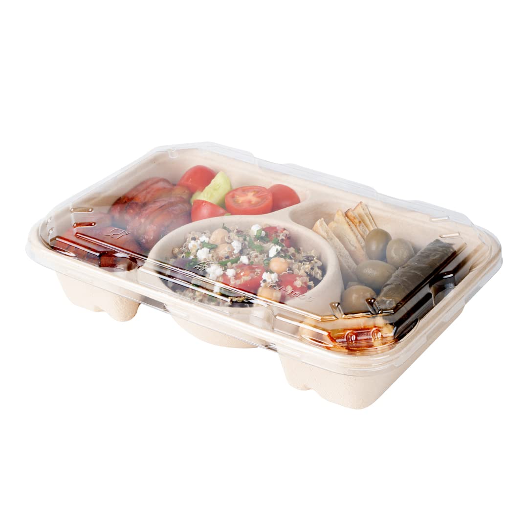 Restaurantware 100-Pack Disposable PET Plastic Lids for To-Go Containers - 9.5 x 6.4 Inch Clear Pulp Tek Lids (Containers Sold Separately) - Perfect for Food Service, Takeout Meals & Catering Events