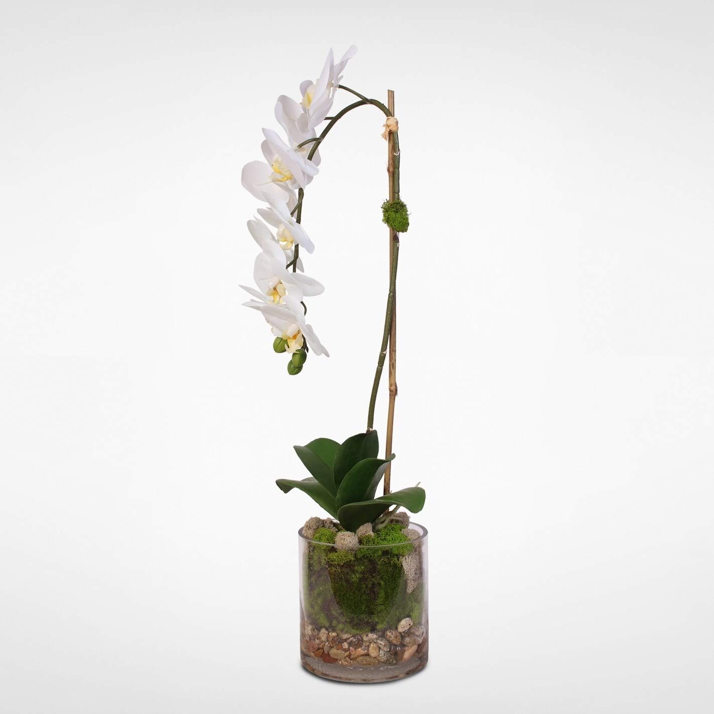 Premium Real Touch White Phalaenopsis Orchid in Glass Vase - Lifelike Artificial Flower Arrangement for Home Decor, Wedding Centerpieces & Office Elegance
