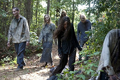 The Walking Dead Season 4 DVD - Complete Zombie Apocalypse TV Series Box Set | Perfect for Horror Fans & Collectors | Great for Movie Nights & Halloween Parties