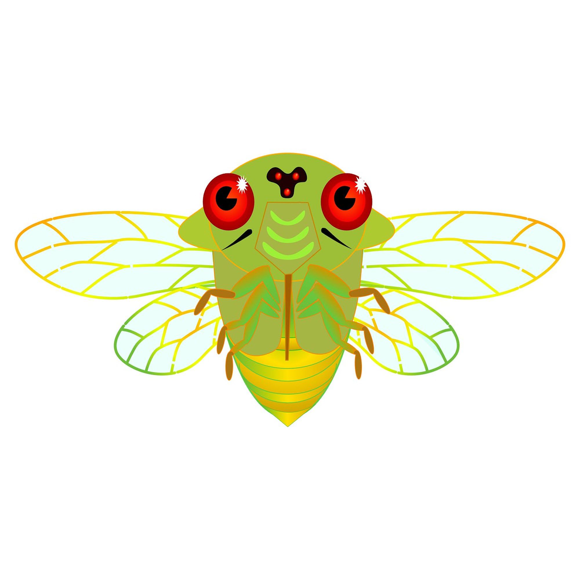 Cute Green Cicada Square Sticker 3x3 Inch - Waterproof Vinyl Bumper Sticker for Cars, Laptops, Windows - Fun Insect Decal for Outdoor Enthusiasts & Nature Lovers
