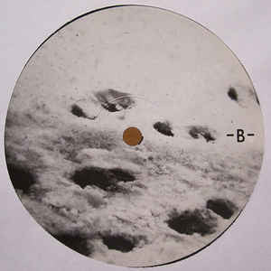 Bon Iver Blood Bank 12