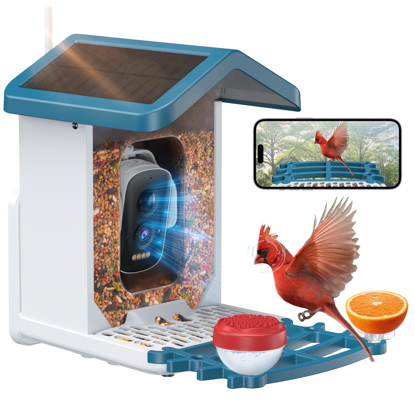 Smart Bird Feeder Camera with Solar Power - 4MP HD Wireless Bird Watching Camera, AI Identifies 11,000+ Species, Squirrel Proof Design, Real-Time Alerts & Auto Capture - Perfect for Backyard Bird Watching, Nature Lovers & Wildlife Monitoring