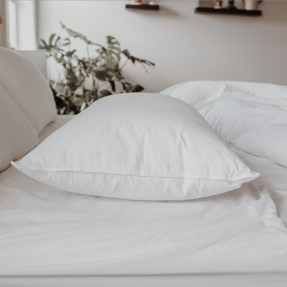 Down Dreams Classic Soft Pillow - Hotel Quality Luxury Pillow for Side, Back & Stomach Sleepers - Perfect for Home, Travel & Guest Rooms