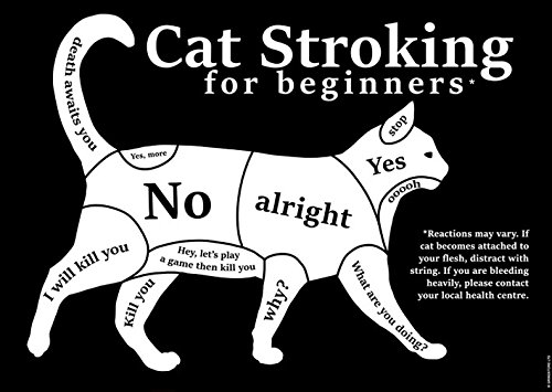 Cat Stroking for Beginners - Mini Poster Guide with Step-by-Step Techniques | Perfect for Cat Lovers, Pet Owners & Veterinary Students