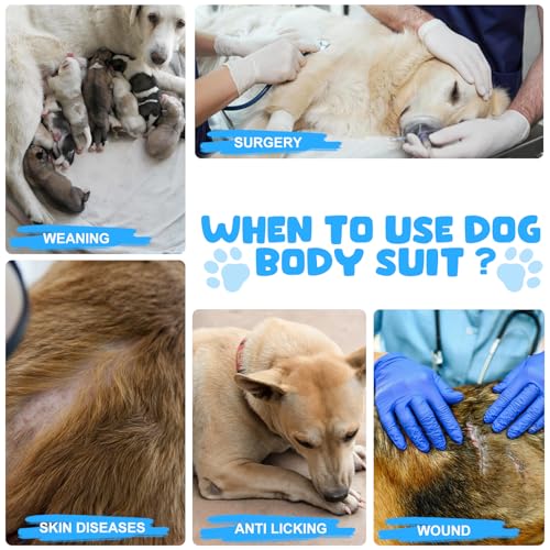 Dog & Cat Recovery Suits - Post-Surgery Protective Wear for Spay/Neuter, Breathable Anti-Licking Surgical Onesie for Female & Male Pets (Blue White Stripes, Size S) - Ideal for Wound Protection & Comfort After Vet Procedures