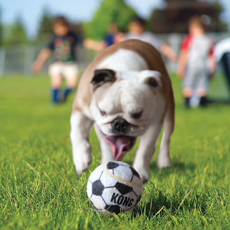 Premium Rubber Sport Balls - Durable Bouncing Balls for Soccer, Basketball & Playground Games - Ideal for Outdoor Sports, School PE Classes & Kids' Backyard Activities