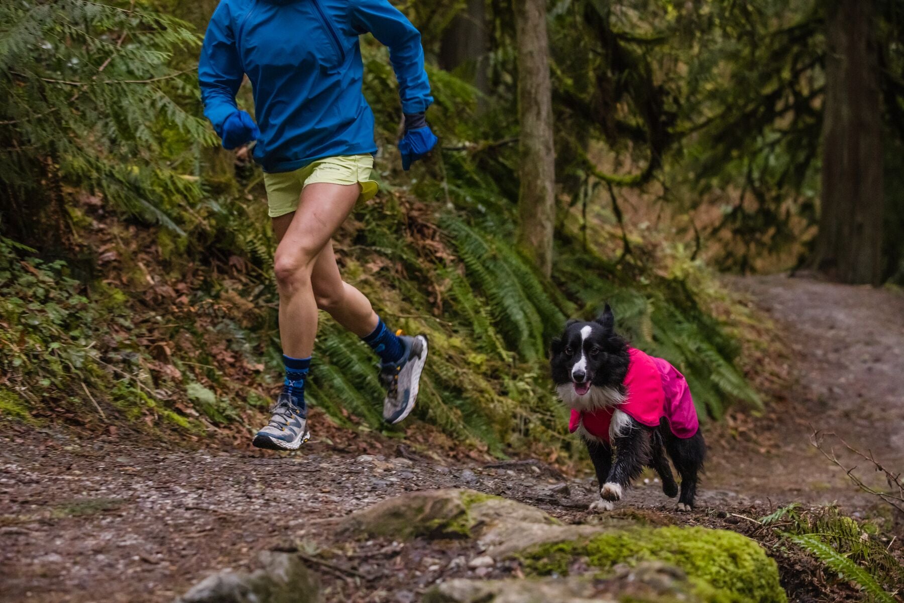 Waterproof Dog Vest for Rain & Outdoor Adventures - Sun Shower® Blue Dusk Reflective Canine Raincoat | Ruffwear® for Hiking, Camping & Wet Weather Protection
