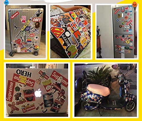 100 Pcs Cool Skull Vinyl Stickers - Waterproof Decals for Water Bottles, Laptops, Cars, Skateboards & Bikes - Fun Graffiti Patches for Teens - Perfect for DIY, School, Travel & Room Decor (Skull Design)