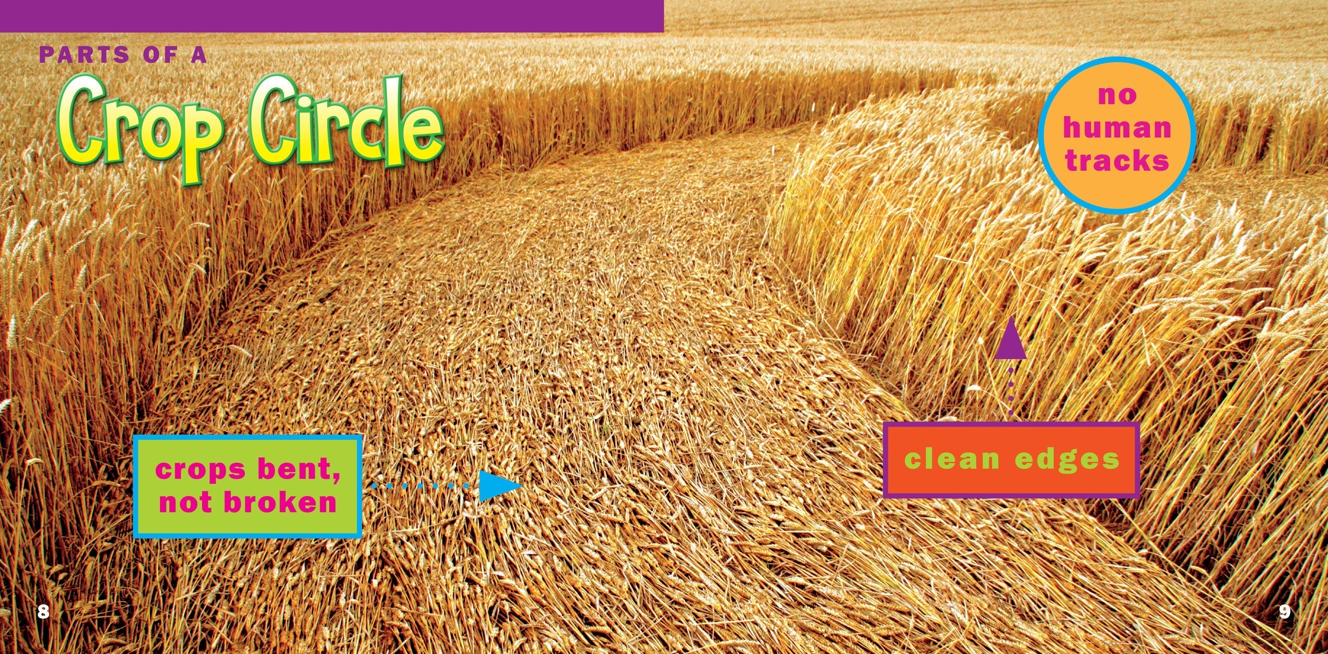 Crop Circles Book - 9781623104436 - Explore Mysteries & Theories for UFO Enthusiasts & Researchers