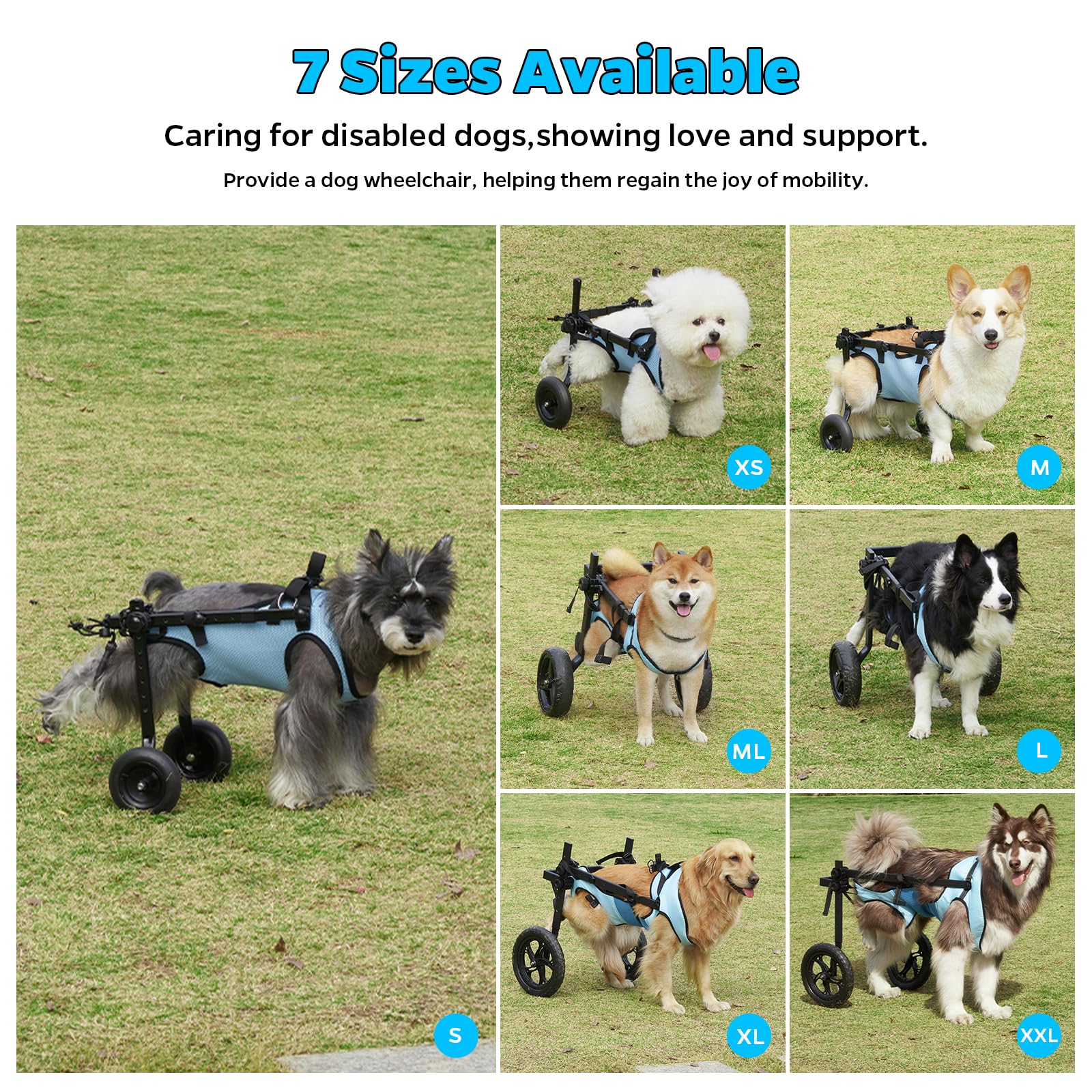 Dog Wheelchair for Back Legs - Lightweight Mobility Aid Cart for Small Dogs & Cats with Disabled Hind Legs - Adjustable Pet Wheelchair for Walking Assistance (Ideal for Post-Surgery Recovery & Daily Mobility Support)