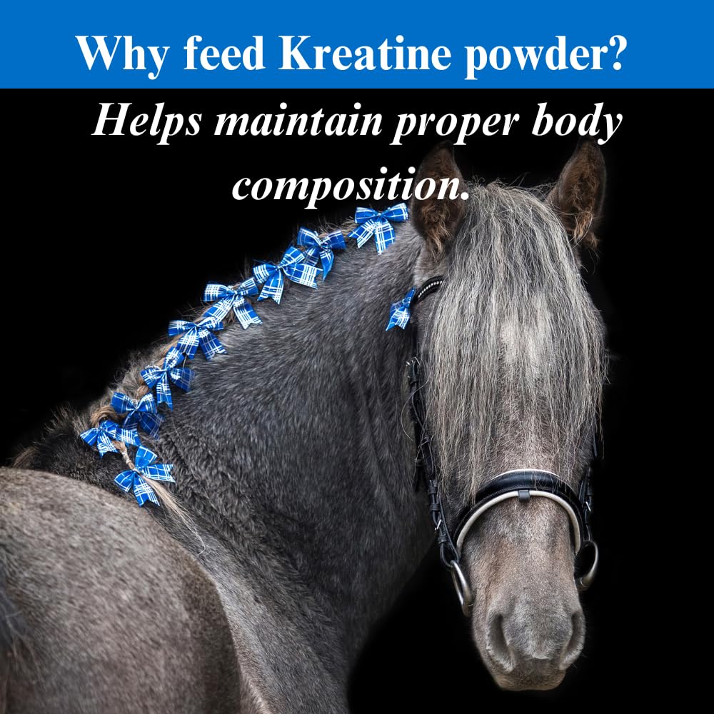 Premium Kre-Alkalyn Creatine Horse Supplement for Energy, Stamina & Endurance - 12.5lb (3 Month Supply) - Supports Muscle Performance & Recovery - Ideal for Racehorses, Show Jumpers & Equestrian Training