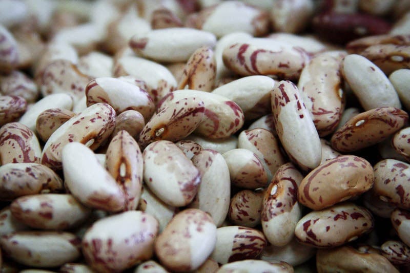 Rancho Gordo Snowcap Beans 1 lb | Premium Heirloom White Beans | Perfect for Soups, Stews & Healthy Recipes
