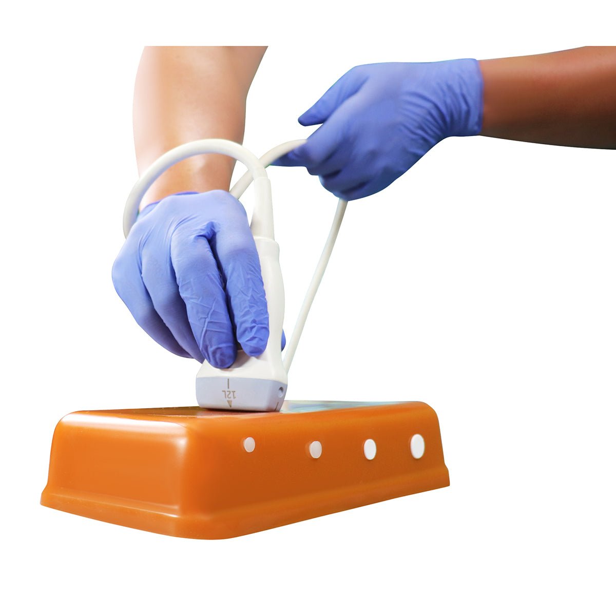HM4.0 Reusable 4-Vessel Ultrasound Training Model - Perfect for Medical Students, Sonographers & Vascular Practice (Ideal for Carotid, Femoral & Venous Ultrasound Training)