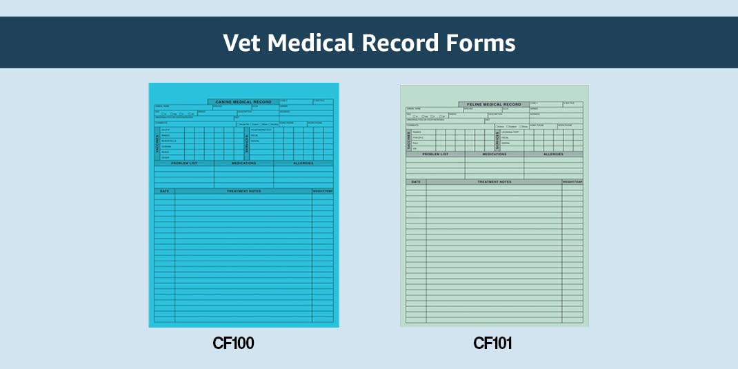 Premium 2-Sided Feline Veterinary Medical Record Forms - 250 Heavy Paper Sheets for Cat Vaccination & Treatment Logs | Ideal for Vet Clinics, Animal Hospitals & Shelters | Perfect for Tracking Cat Health History & Medical Care