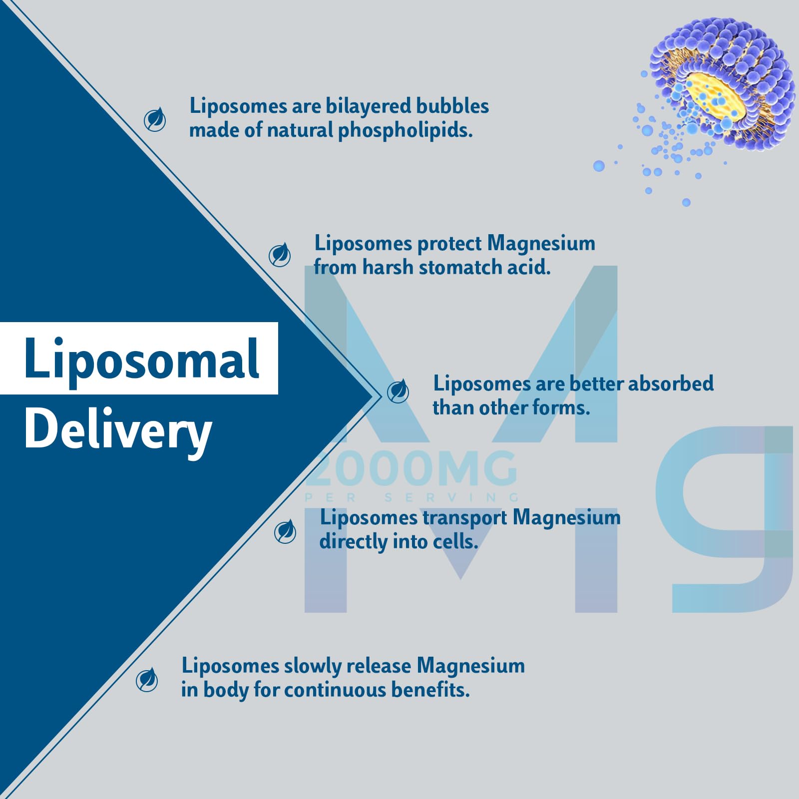 Liposomal Magnesium Softgels 2000mg with Vitamin D3 & K2 - Premium Brain, Bone & Muscle Support Supplement - Non-GMO, Gluten-Free - 60 Softgels for Stress Relief, Sleep Aid & Heart Health