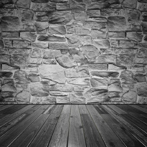 5ft x 7ft Vinyl Photography Backdrop - Printed Brick Wall Background for Studio Portraits, Newborn Photos, and Social Media Content Creation