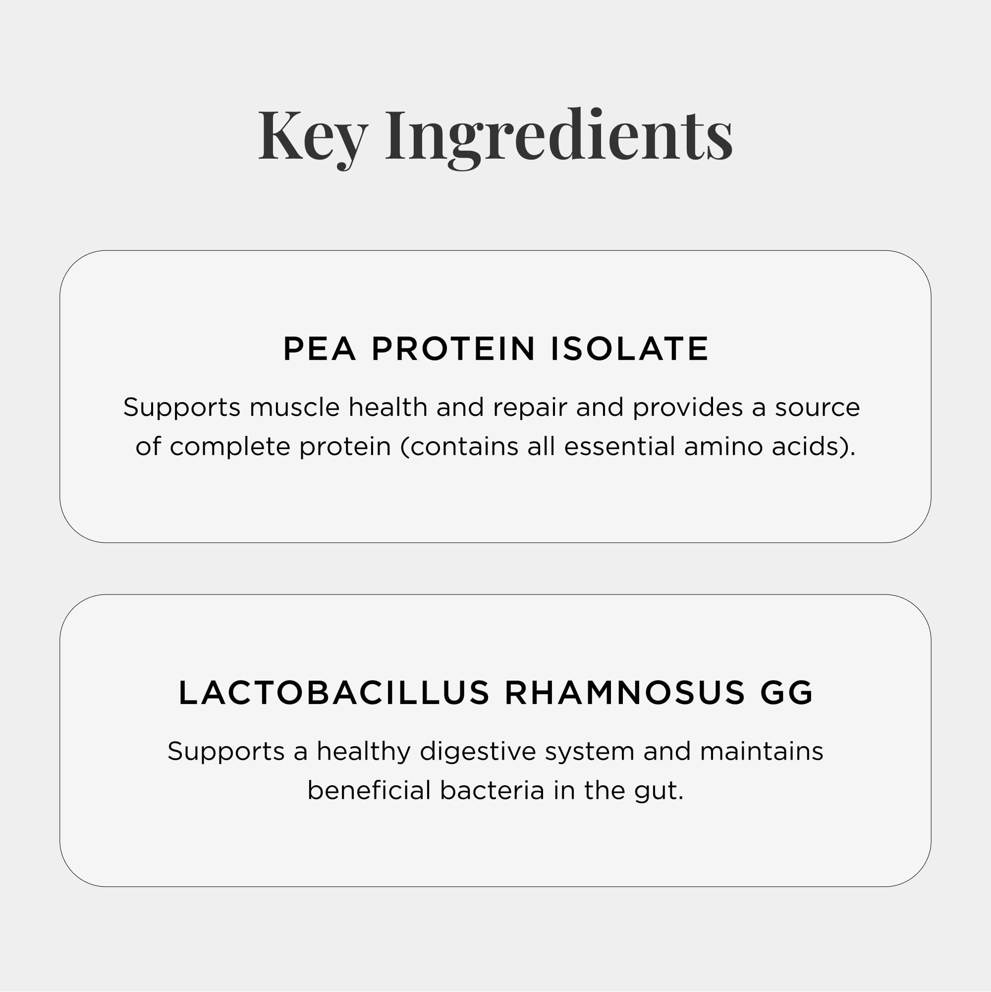 JSHealth Vegan Pea Protein Powder with Probiotics - Vanilla Bean Flavor | Gluten Free, Non-GMO, Plant-Based Protein Supplement (300g) for Post-Workout Recovery & Healthy Smoothies