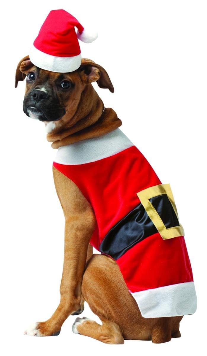 Santa Dog Costume for Small Dogs - Festive Holiday Pet Outfit for Christmas Parties & Photos