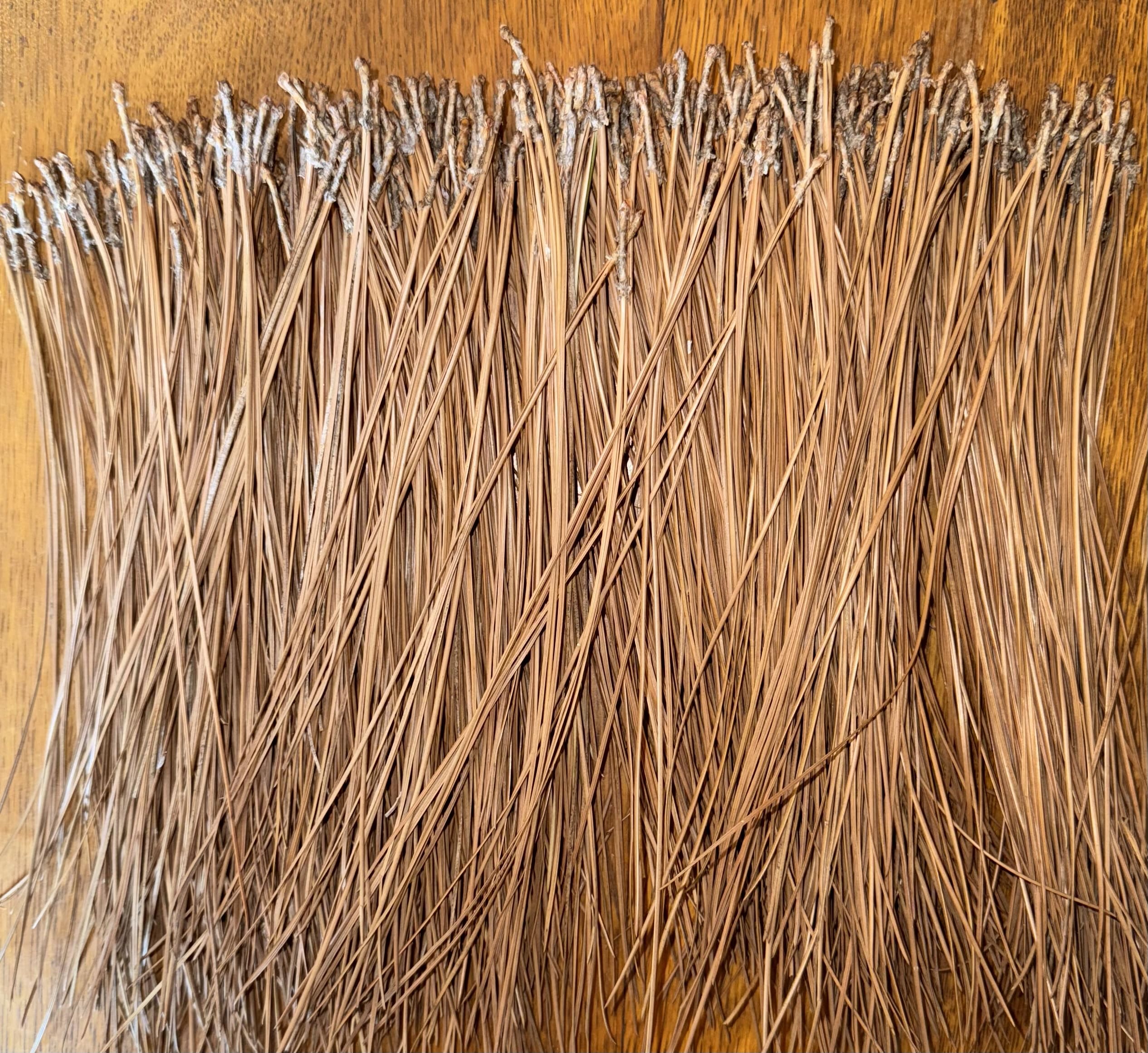 Long Leaf Pine Needles for DIY Crafts - 10oz Natural Dried Pine Needles for Wreaths, Baskets & Potpourri - Perfect for Rustic Home Decor & Seasonal Projects
