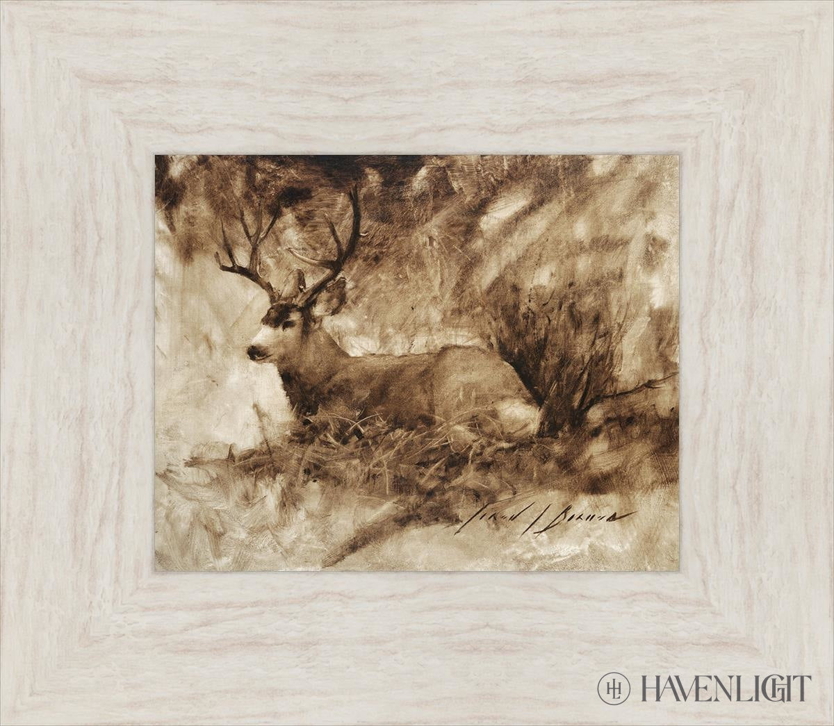 Bedded Buck By Jared Barnes - Premium Hunting & Outdoor Gear for Camping, Hiking & Adventure Enthusiasts
