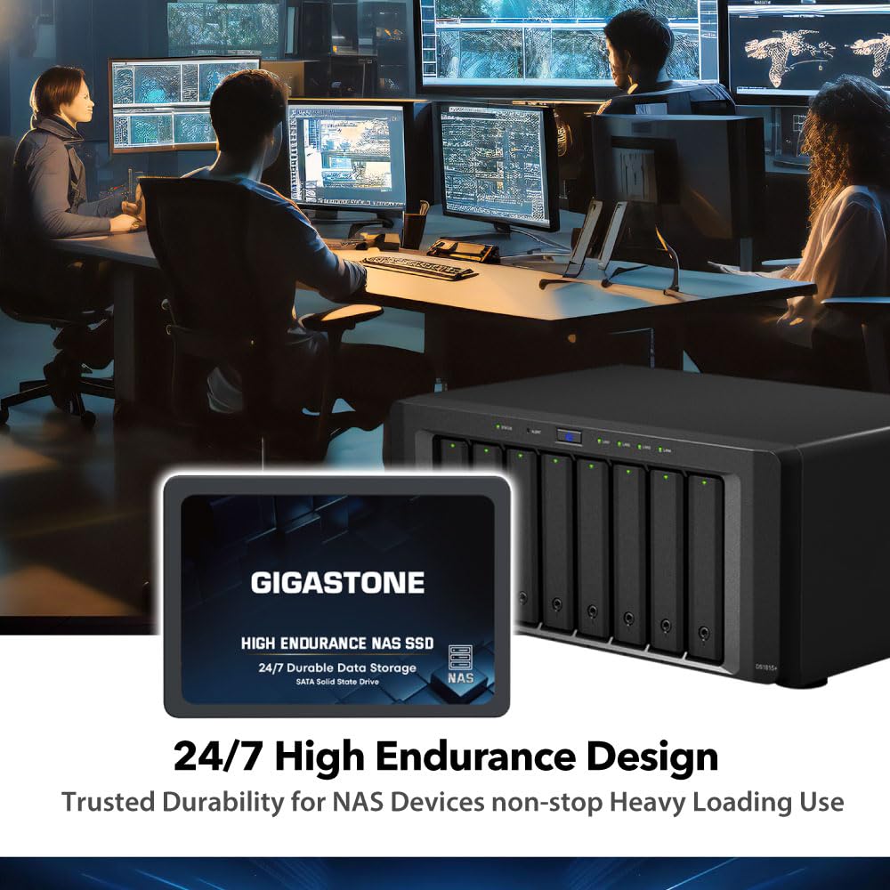 Gigastone 512GB NAS SSD Drive (2-Pack) - High Endurance TLC RAID Storage for 24/7 Operation | 2.5